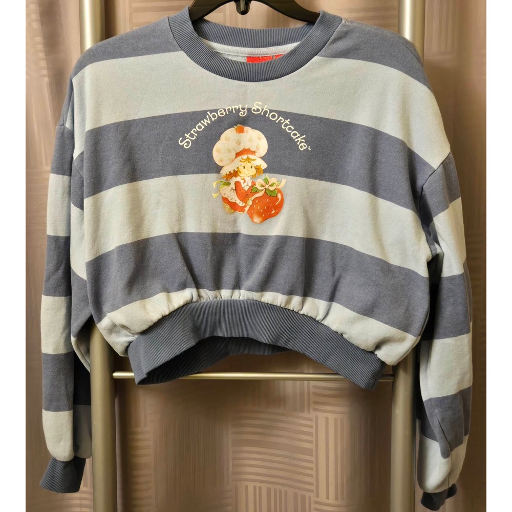 Mad Engine Strawberry Shortcake Striped Cropped Sweatshirt Blue Grey XS RN101531